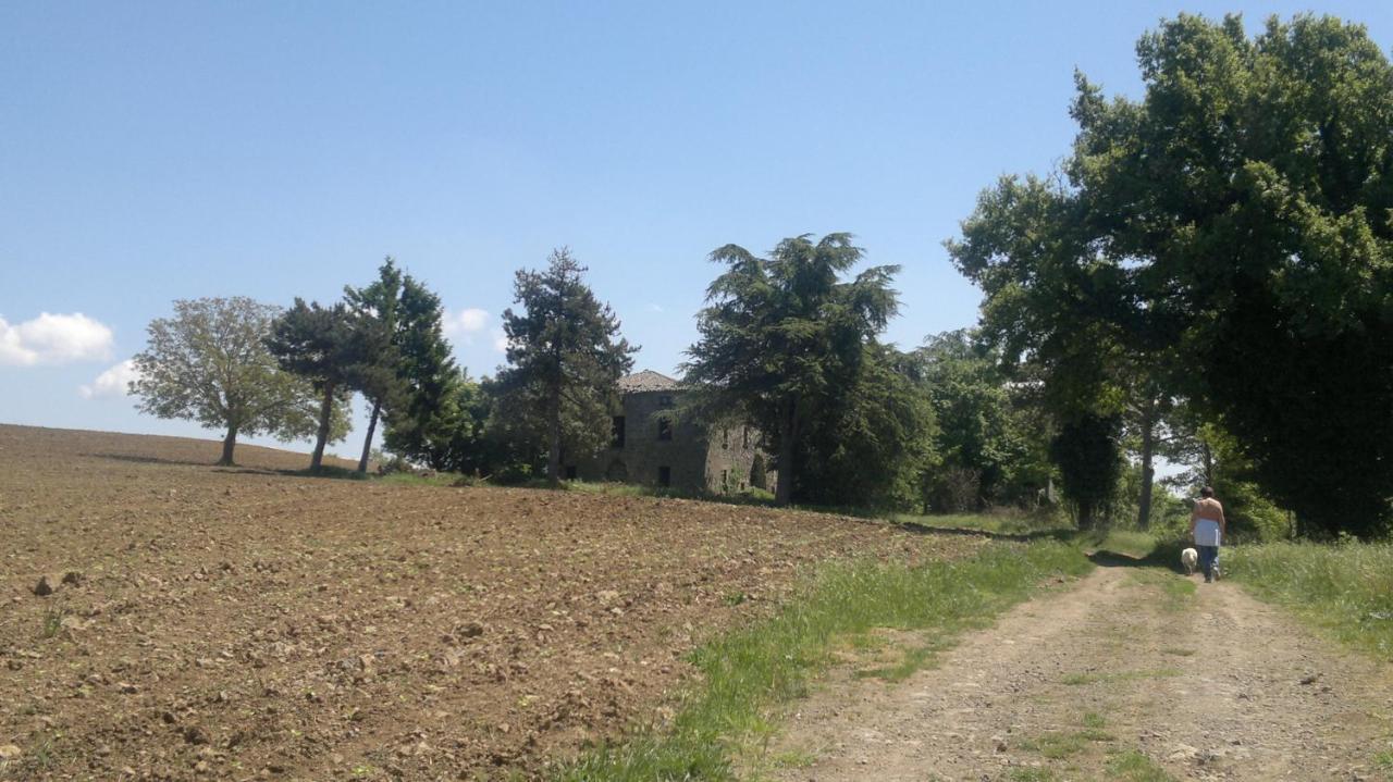 Appartamento Miralago Bolsena Exterior photo